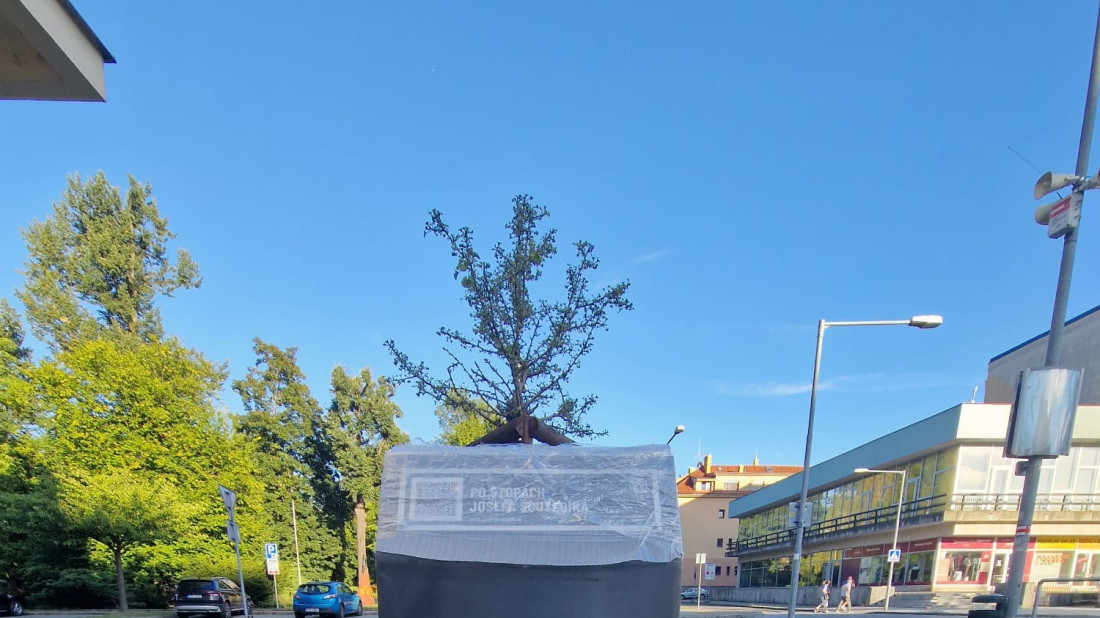 obrázek